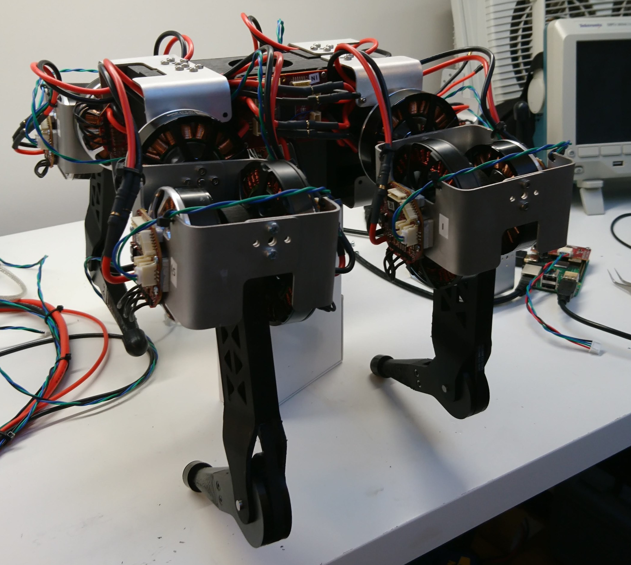 Quadruped front side