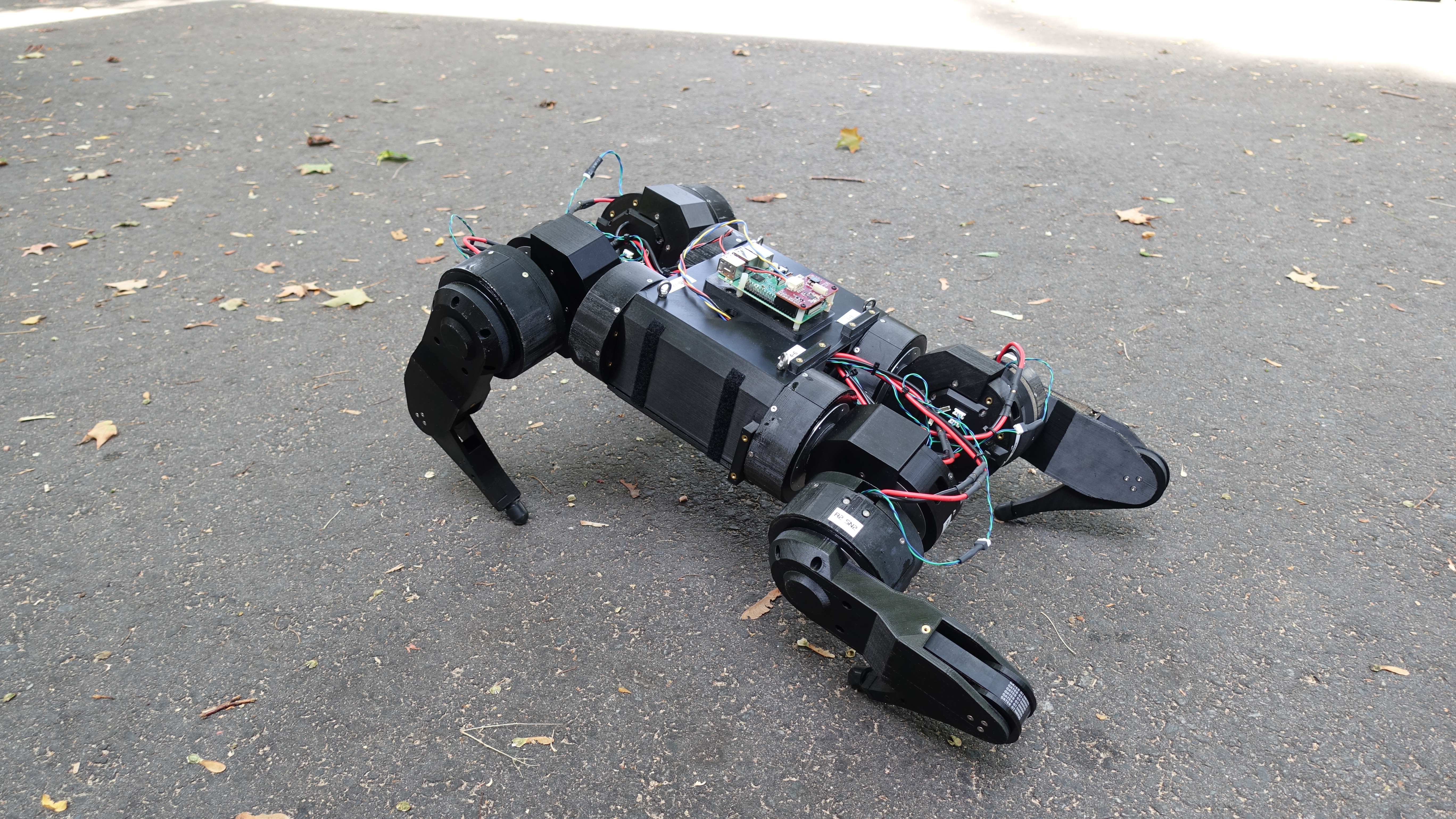 Doing some calisthenics