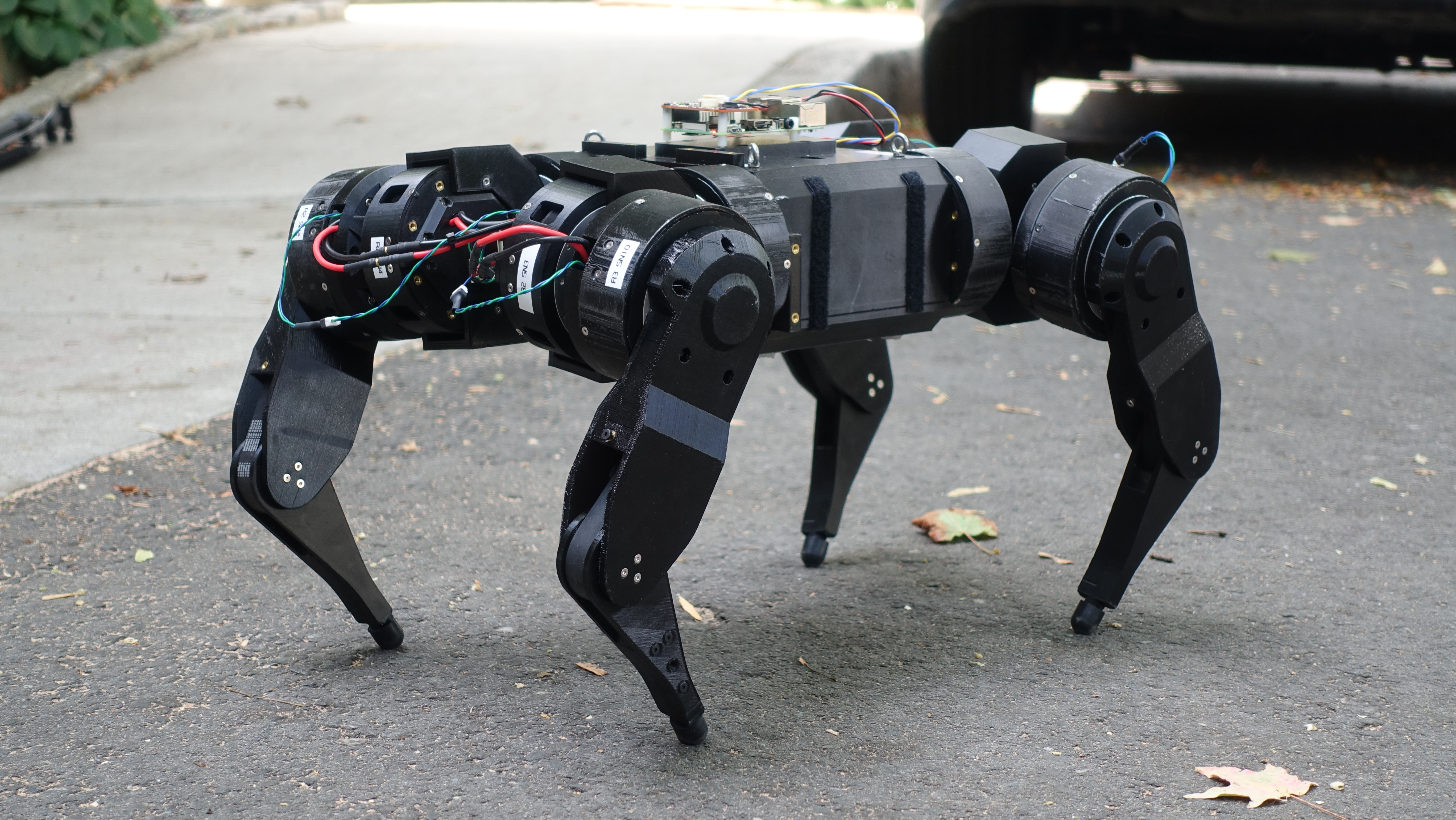 Looking like it is ready for action